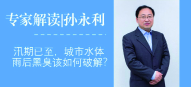 汛期已至，城市水體雨后黑臭問題該如何破解？